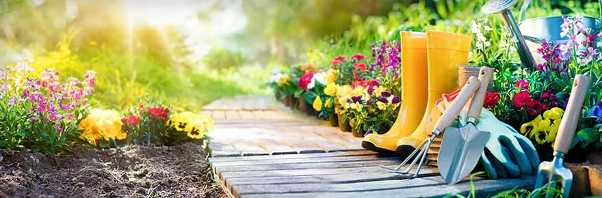 A planted garden bed designed by Wild Geese Gardens